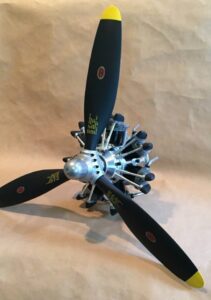 Dark colored Propellor for a model aircraft